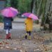 Temperaturen fallen deutlich: Es wird unaufhaltsam Herbst – erste Schauer und Gewitter