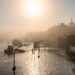 23 Tote in Europa bisher: Elbehochwasser in Dresden soll heute Höchststand erreichen