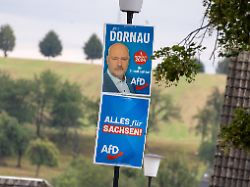 Zwiebelfarm in Belarus: Arbeiten politische Gefangene für AfD-Politiker Jörg Dornau?