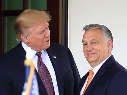 <div>„Werden mehrere Flaschen öffnen“: Orban will bei Trump-Sieg mit Champagner feiern</div>