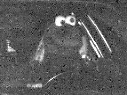 Leichtsinn in NRW: Krümelmonster wird auf Autobahn geblitzt – Polizei warnt