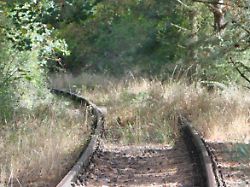 <div>„Schneckentempo“ bei Sanierung: Verbände: Hunderte Bahnstrecken warten auf Reaktivierung</div>