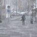 Temperatursprung um fast 20 Grad: Auf die Schneewalze folgt das Blitz-Tauwetter