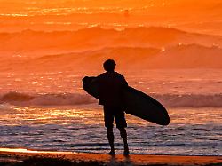 Glück im Unglück: Surfer wird zum zweiten Mal am selben Strand von Hai gebissen