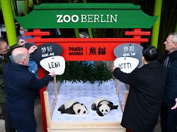 Leni und Lotti verzücken Berlin: So funktioniert Chinas Panda-Diplomatie