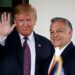 <div>„Ähnlich denkende Psychopathen“: Orban zeigt Trump, wie ein Staatsumbau gehen kann</div>