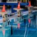 Prüfer weichen von Vorgaben ab: Anforderungen für Schwimmabzeichen Bronze nicht einheitlich
