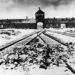 <div>Historiker Piper zum 27. Januar: „Auschwitz übersteigt jedes menschliche Vorstellungsvermögen“</div>