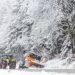 Wetterkapriolen zum Jahresstart: Erst wird es kalt und glatt, dann nass und fies