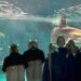 Alleine im Aquarium: Pappmenschen heitern einsamen Mondfisch auf