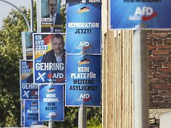 Für über 6000 Plakate: AfD erhält nächste Millionenspende